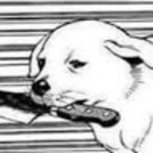 Meet your Posher, M.